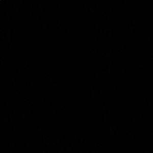 Meet your Posher, Travis